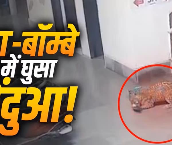 IIT-बॉम्बे कैंपस में घुसा तेंदुआ, CCTV में कैद…