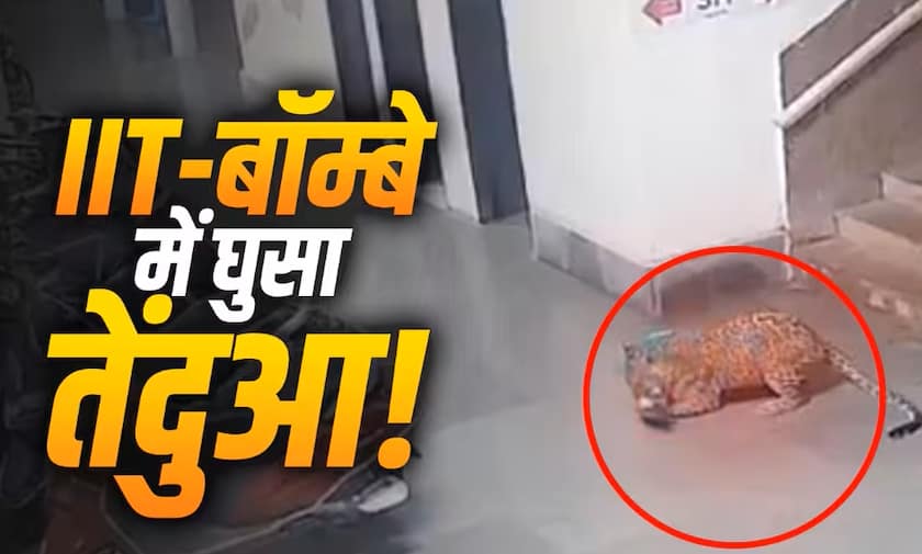 IIT-बॉम्बे कैंपस में घुसा तेंदुआ, CCTV में कैद…